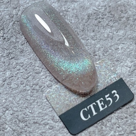 Angelanails 銀罐色膠 NO.CTE53 3ML