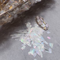 Angelanails 貝殼片 018