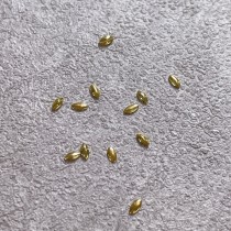 Angelanails 鍍金飾品085