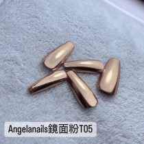 Angelanails 鏡面粉 T05