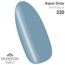 SHINYGEL Professional 色膠－220水漾灰