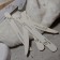 美展優惠 Angelanails 100/180 真甲磨棒(10支$300/30支$810/50支$1150)