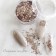 NOVEL Champagne rose glitter