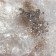 NOVEL Sparkling crash