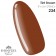 SHINYGEL Professional 色膠－234 Tint Brown