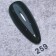Angelanails 二代方瓶彩膠 NO.259